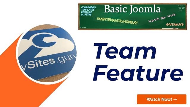 Introducing the Team Feature on mySites.Guru